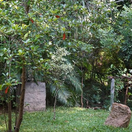 Sandra Guesthouse Dambulla Exterior photo
